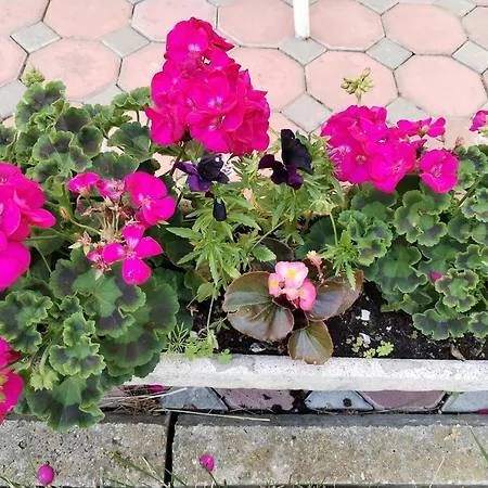 アパート Nobless Boutique