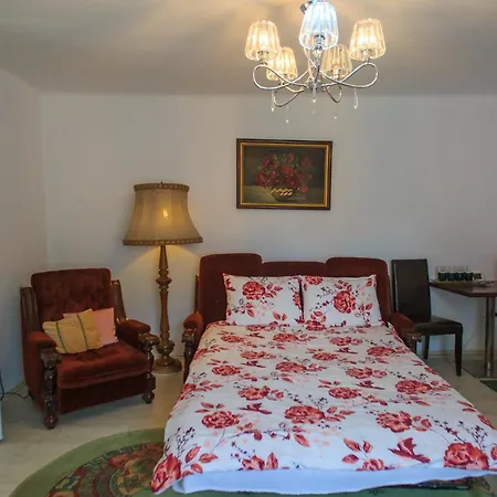 Apartment Nobless Boutique Brasov