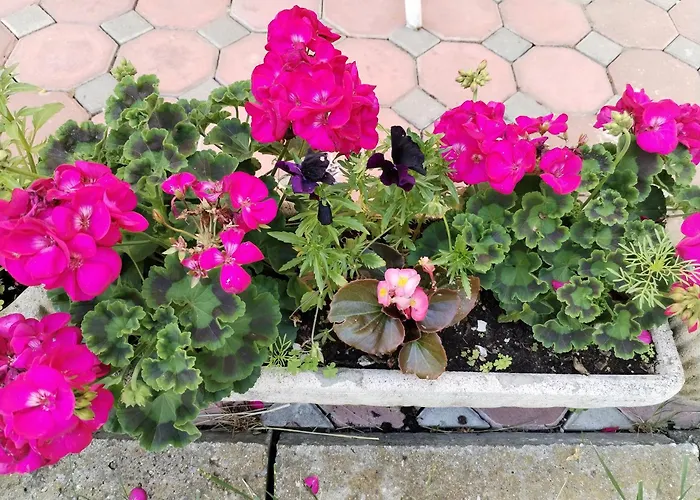 Appartement Nobless Boutique